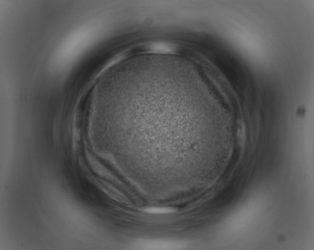 X0000094951487200712131611