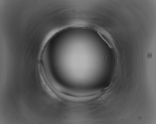 X0000094951488200712131611