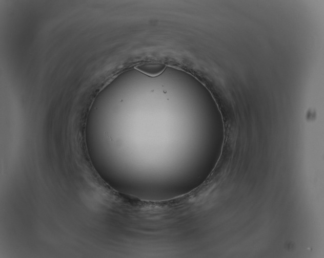 X0000094951489200712131610