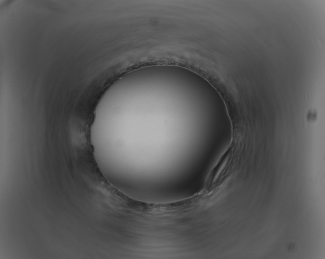 X0000094951490200712131610