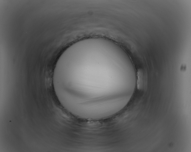 X0000094951491200712131610