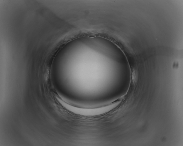 X0000094951492200712131611