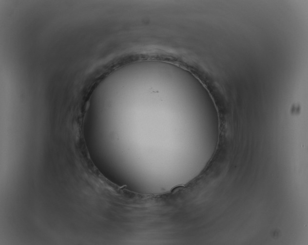 X0000094951493200712131611