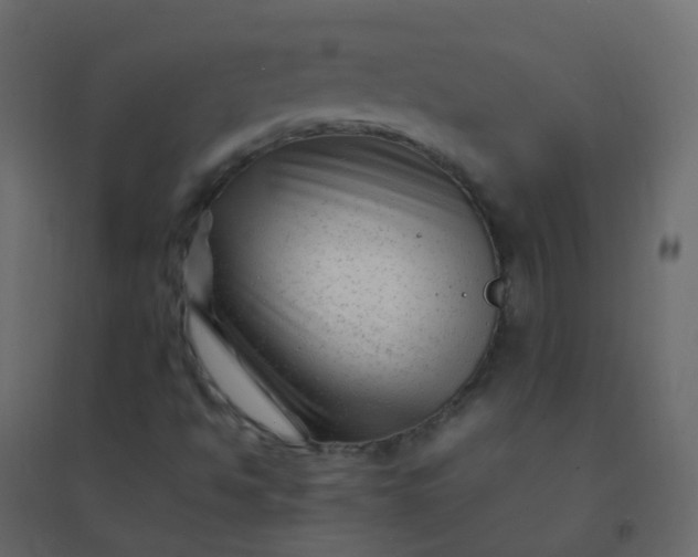 X0000094951494200712131611