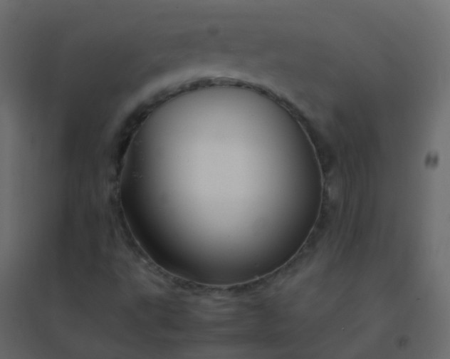 X0000094951495200712131611