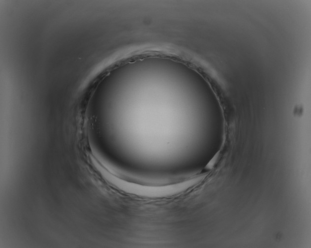 X0000094951496200712131611