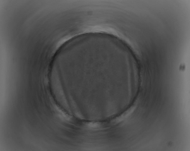 X0000094951497200712131611