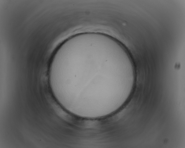 X0000094951498200712131611