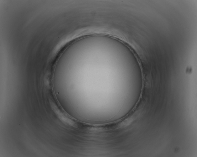 X0000094951499200712131611