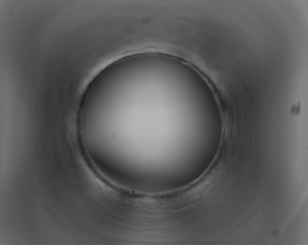 X0000094951500200712131611