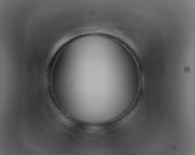 X0000094951501200712131611