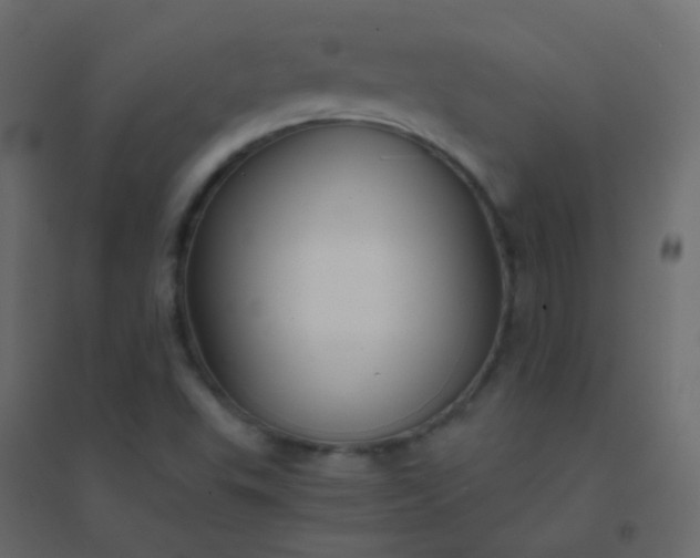 X0000094951503200712131611