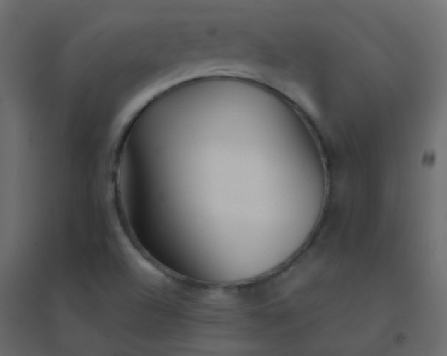 X0000094951504200712131611