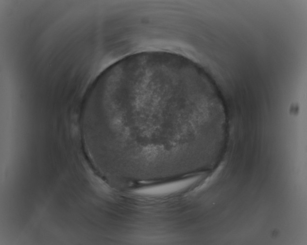 X0000094951505200712131611