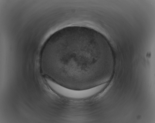 X0000094951506200712131611