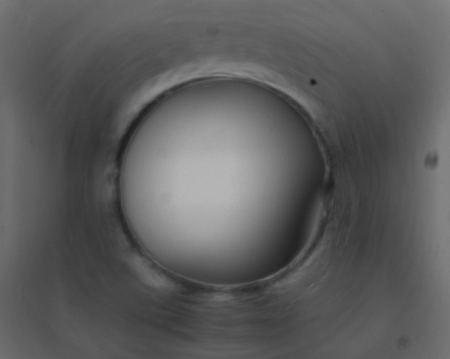 X0000094951507200712131611