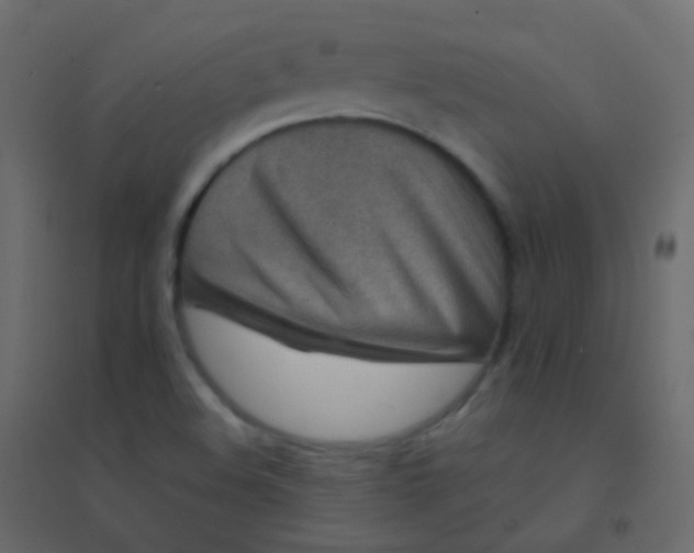 X0000094951508200712131611