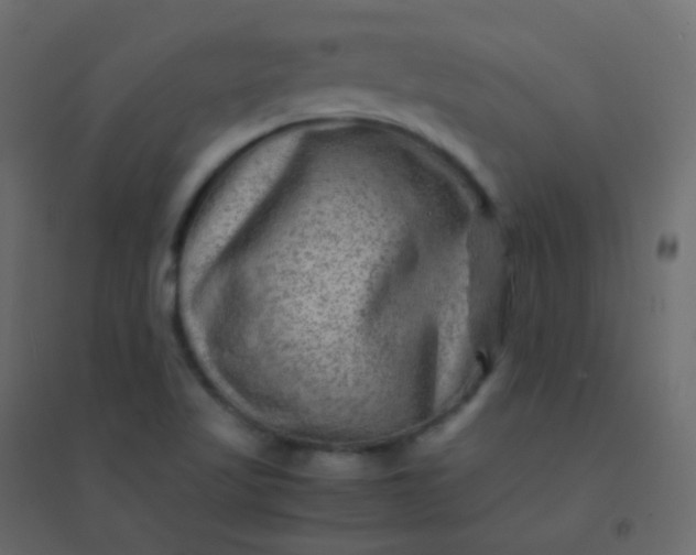 X0000094951509200712131611