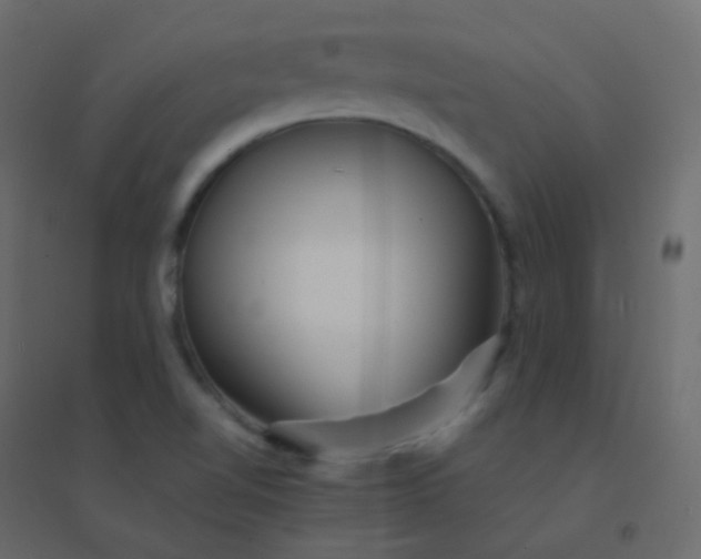 X0000094951510200712131611