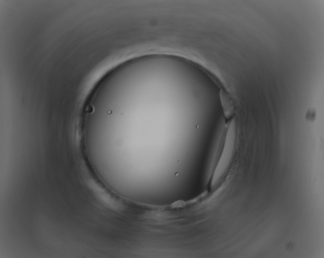 X0000094951511200712131611