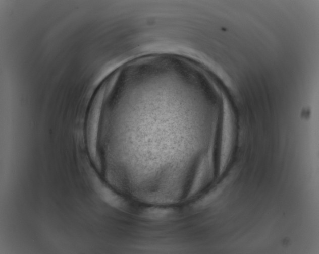 X0000094951513200712131611