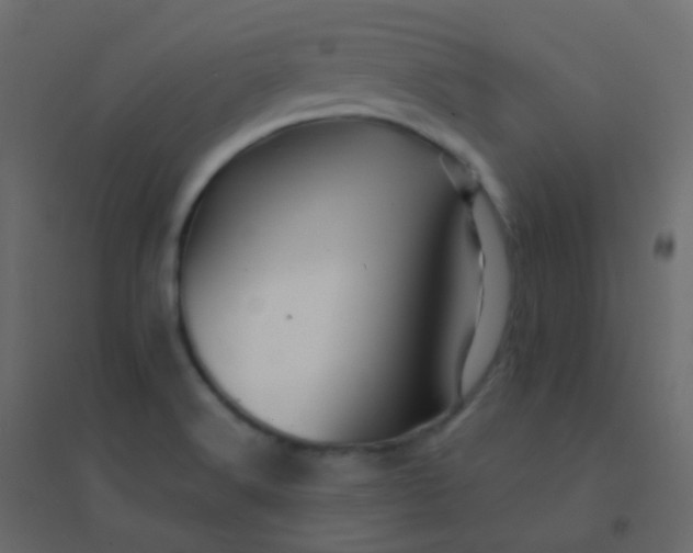 X0000094951516200712131611