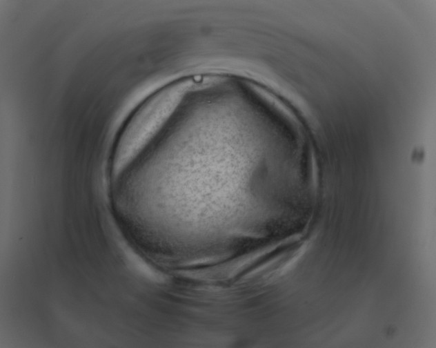 X0000094951517200712131611