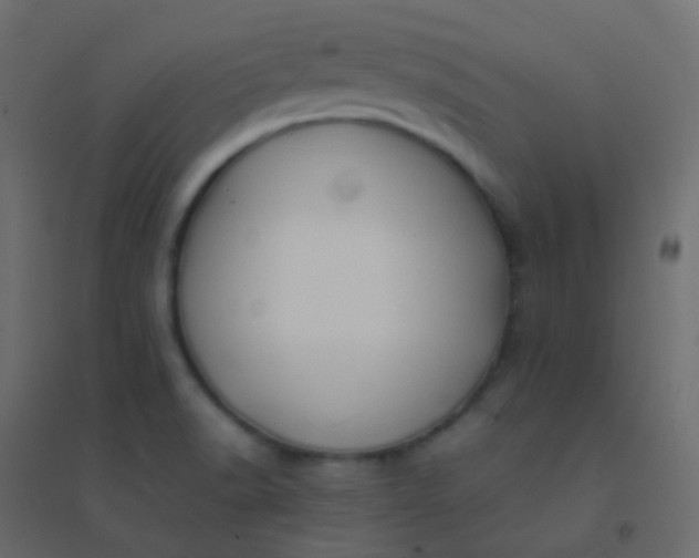 X0000094951518200712131611