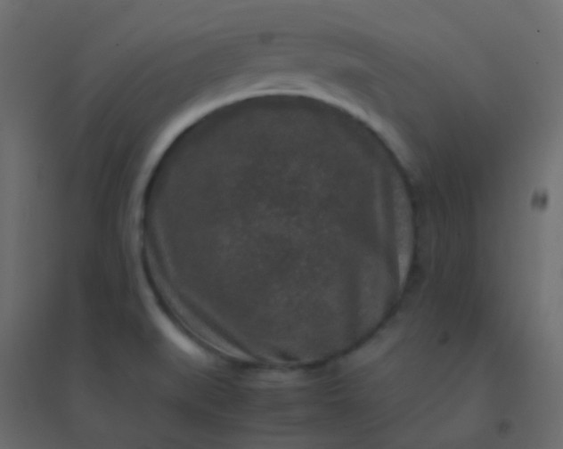 X0000094951519200712131611