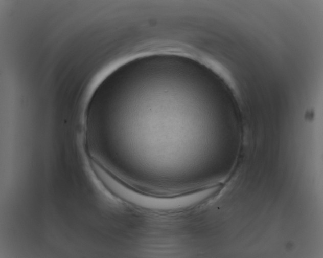 X0000094951520200712131611