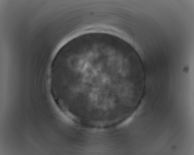 X0000094951522200712131611