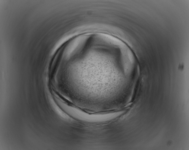 X0000094951523200712131611