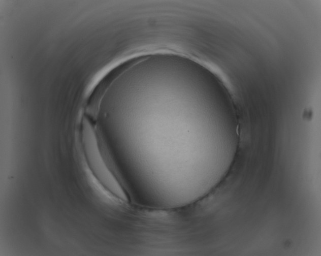 X0000094951524200712131611