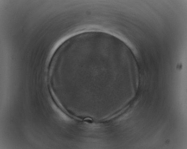 X0000094951527200712131611