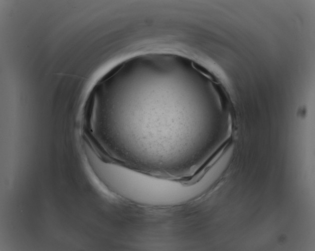 X0000094951528200712131611