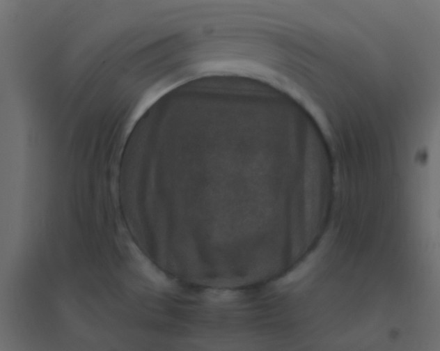 X0000094951529200712131611