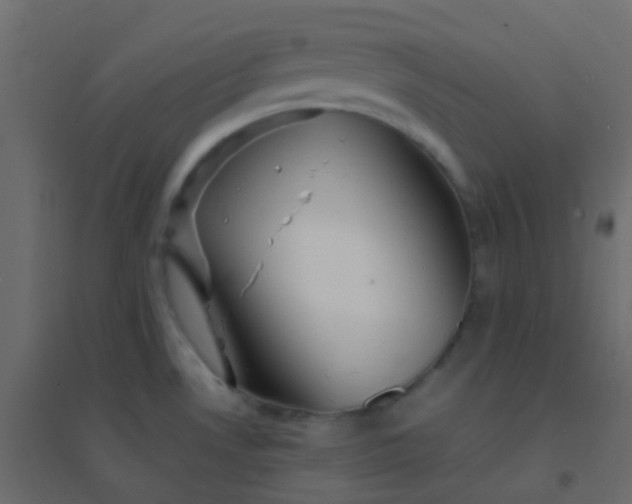 X0000094951530200712131611