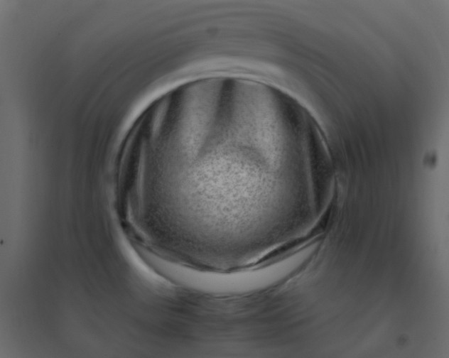 X0000094951531200712131611