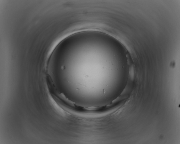 X0000094951532200712131611