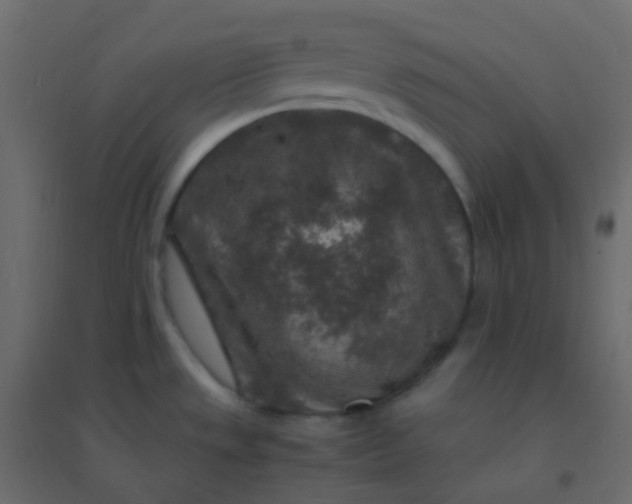 X0000094951533200712131611