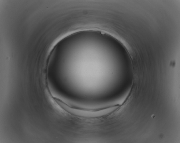 X0000094951534200712131611