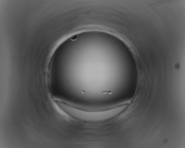 X0000094951535200712131611