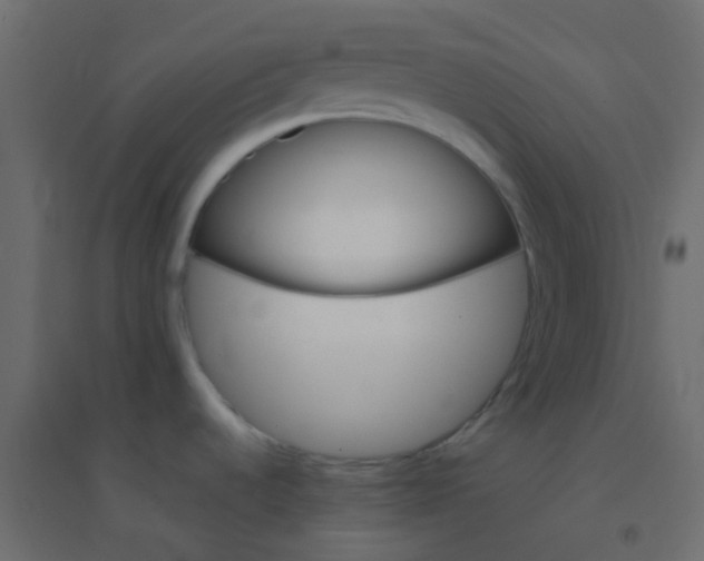 X0000094951536200712131611