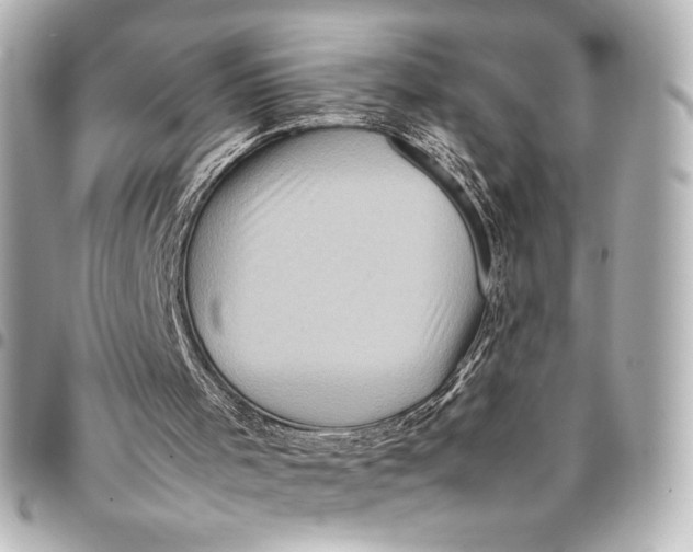 X0000094950001200712201148