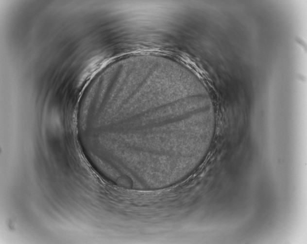 X0000094950002200712201148