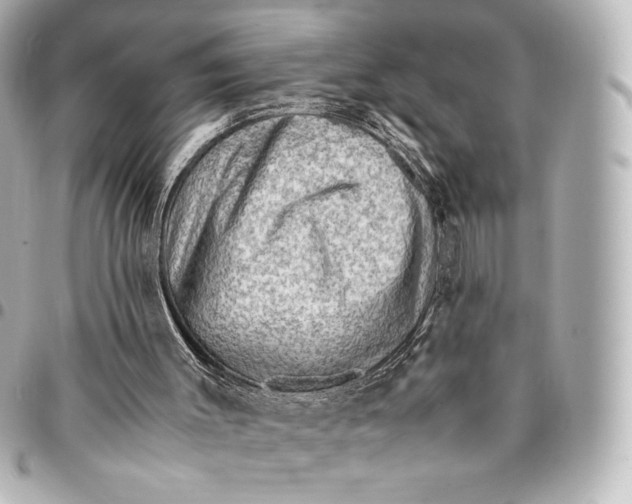 X0000094950003200712201148