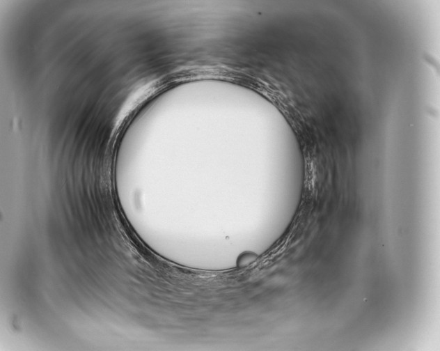 X0000094950004200712201148