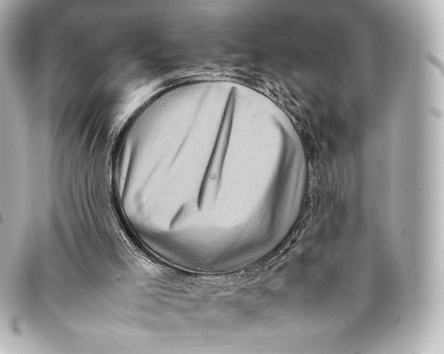 X0000094950005200712201148