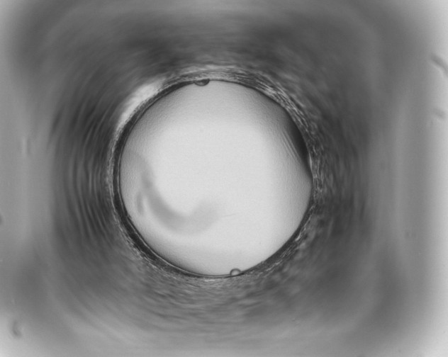 X0000094950006200712201148