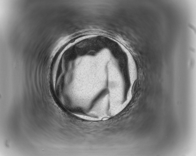 X0000094950007200712201148